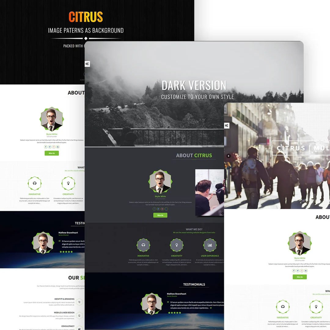 Citrus - One Page WordPress Theme